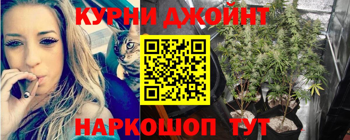 МАРИХУАНА ГИДРОПОН Когалым